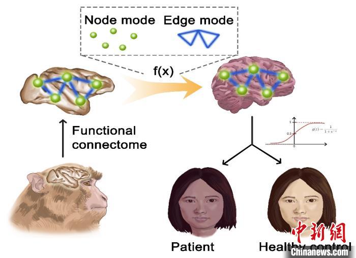 йѧоԱ֢ǿ֢񾭻·