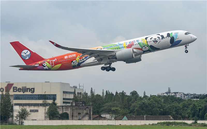 èʻͿװA350ɻ.jpg