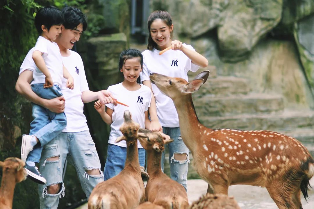 碧峰峡2.jpg 碧峰峡2.jpg