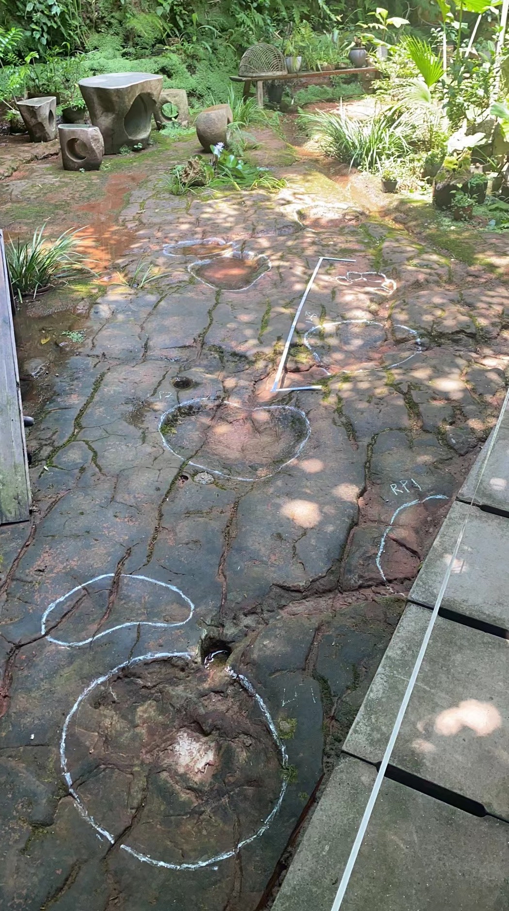 被发现的“足迹”(刘婕妤 摄).jpg 被发现的“足迹”(刘婕妤 摄).jpg