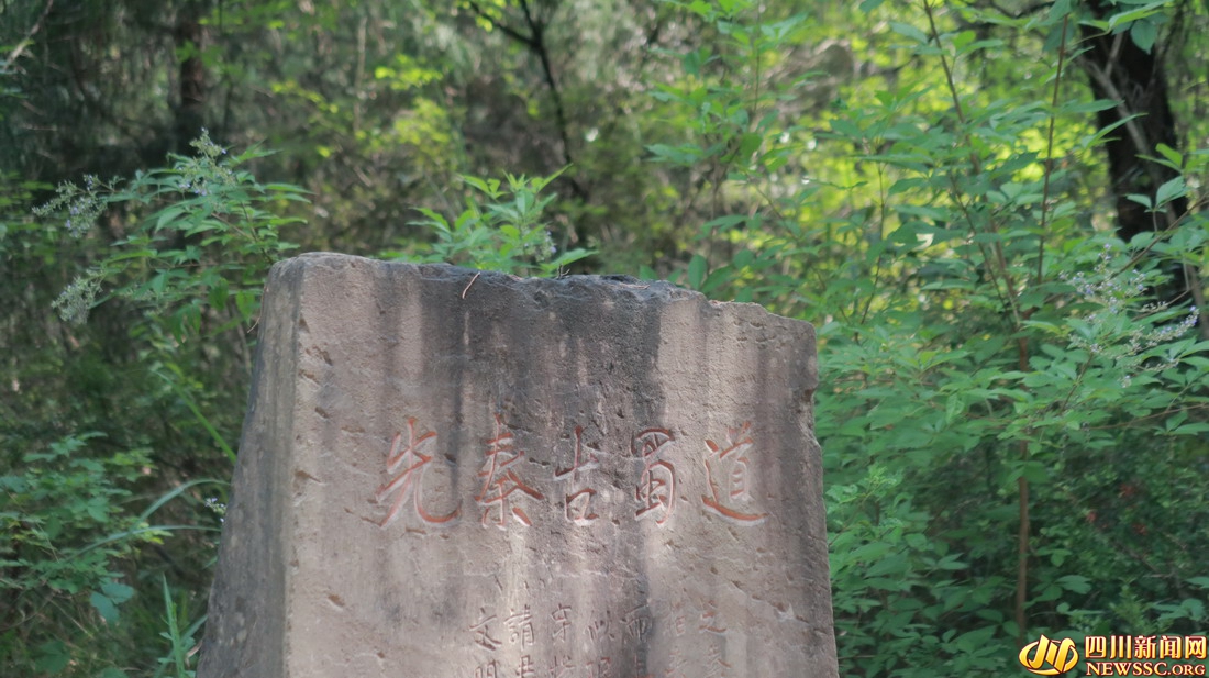翠云廊景区 “先秦古蜀道”石碑.jpg 翠云廊景区 “先秦古蜀道”石碑.jpg