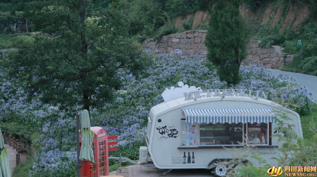 双旗美村 花开遍野.jpg 双旗美村 花开遍野.jpg
