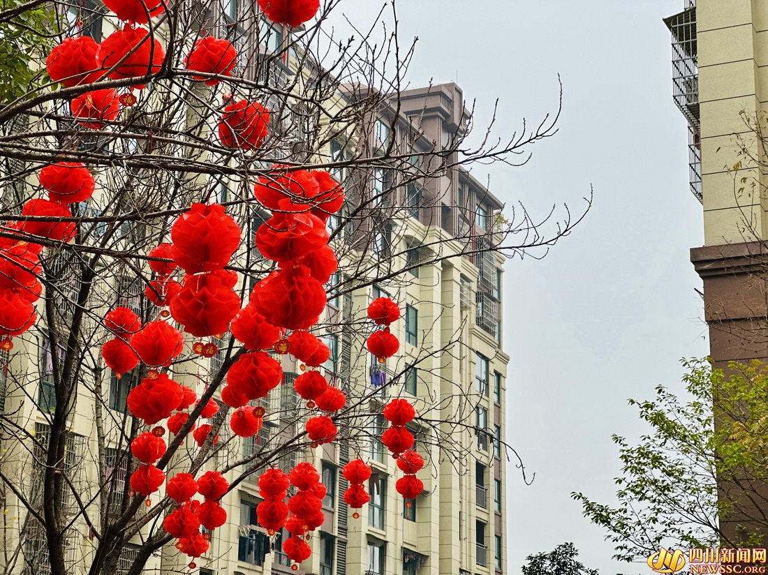 灯笼挂满枝头.jpg 灯笼挂满枝头.jpg