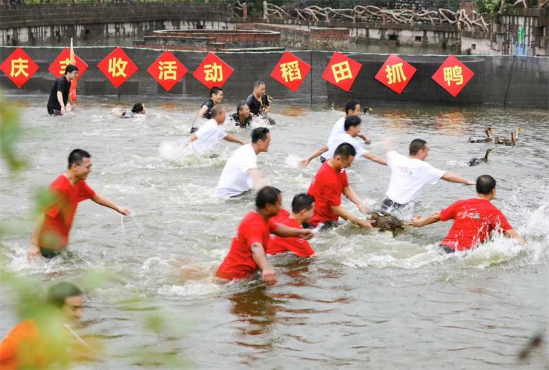 下载02a2b2a.jpg 下载02a2b2a.jpg