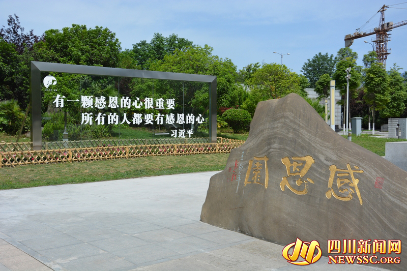 颈椎神经支配分布图_绵阳人均可支配收入(3)
