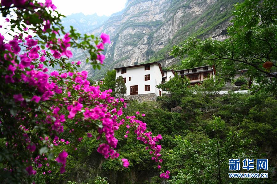 »ȫýͷͼĻ3ǿ·ͨ50