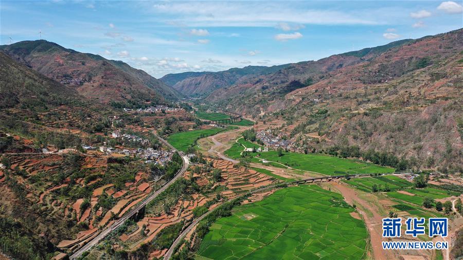 »ȫýͷͼĻ16ǿ·ͨ50