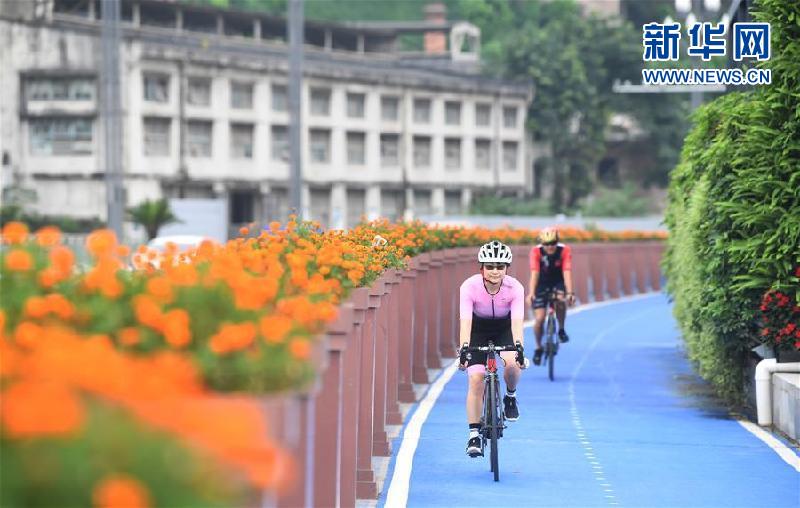 »ȫýͷͼĻ8иµġȦӿ˫ǾȦ