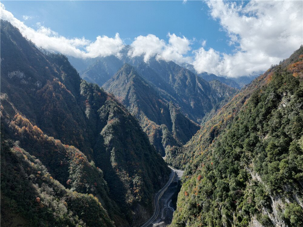 ǧաԾš Ӵǵͨ;(ͼ4)