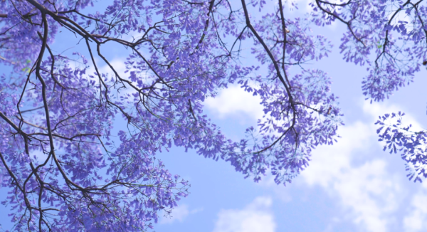 微信图片_20220415162713.png 微信图片_20220415162713.png