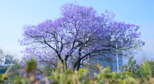 微信图片_20220415162717.png 微信图片_20220415162717.png