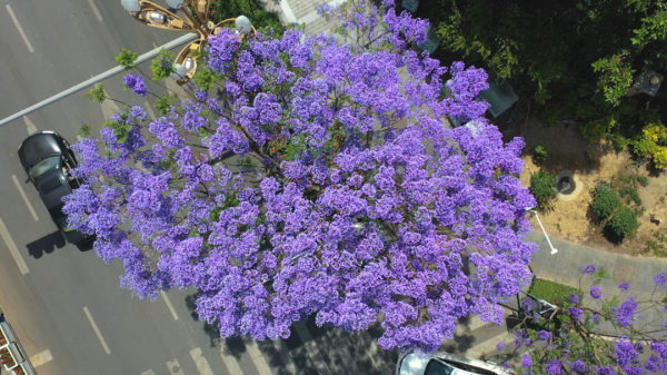 微信图片_20220415162721.png 微信图片_20220415162721.png