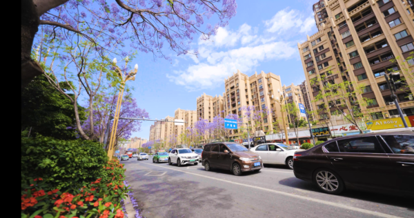 微信图片_20220415162729.png 微信图片_20220415162729.png