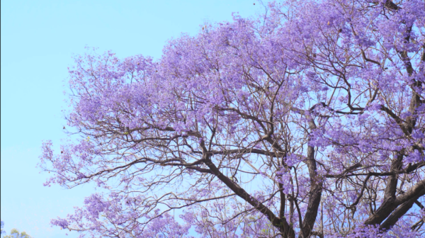 微信图片_20220415162738.png 微信图片_20220415162738.png