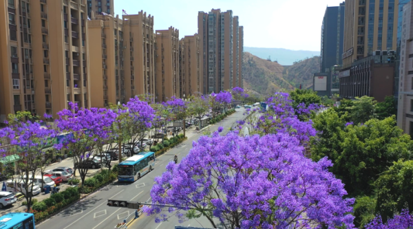 微信图片_20220415162748.png 微信图片_20220415162748.png