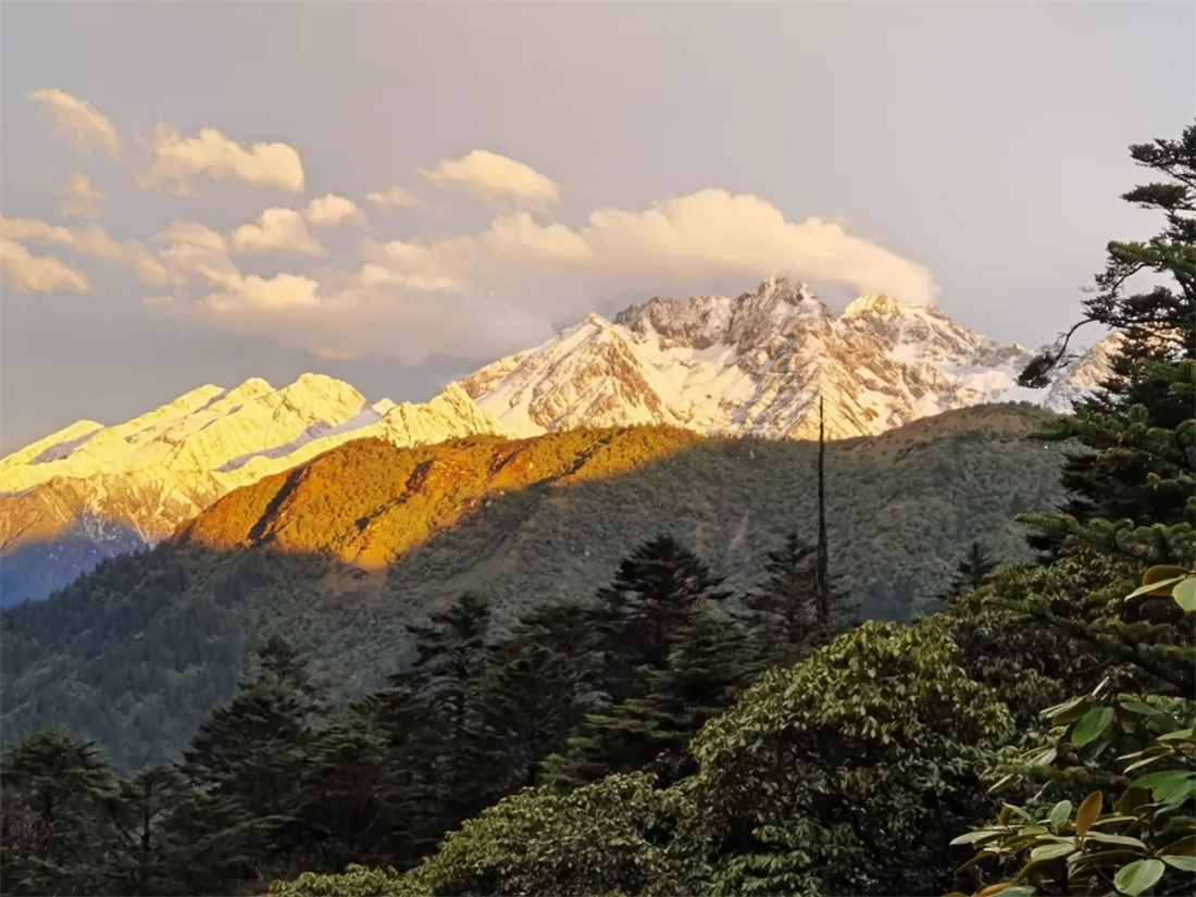 �� �� ɭ �� Ѳ �� ��2.jpg