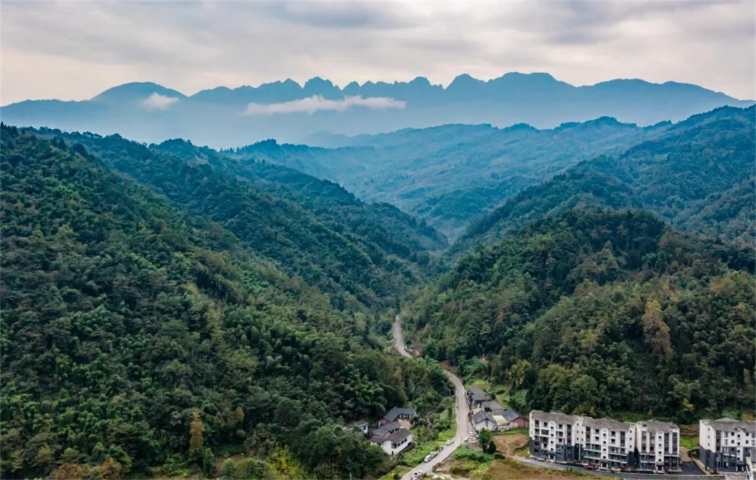 �� �� ɭ �� Ѳ �� ��3.jpg