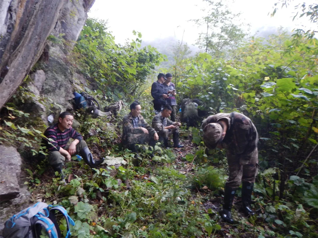 �� �� ɭ �� Ѳ �� ��5.jpg