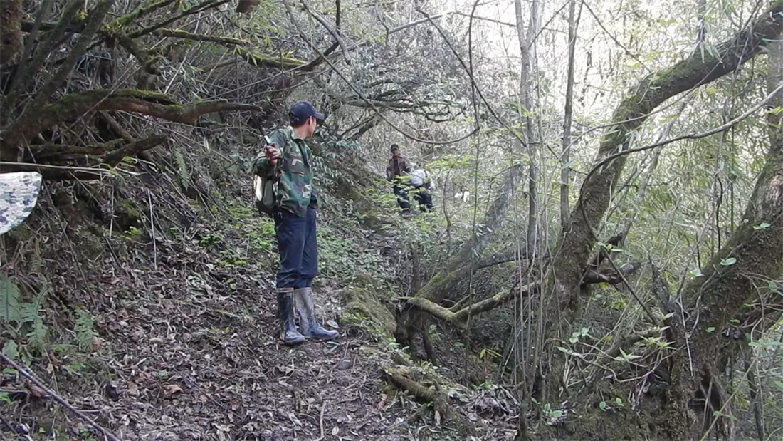 �� �� ɭ �� Ѳ �� ��6.jpg