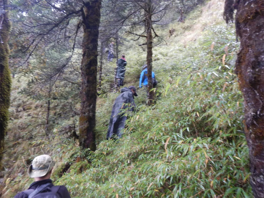 �� �� ɭ �� Ѳ �� ��8.jpg