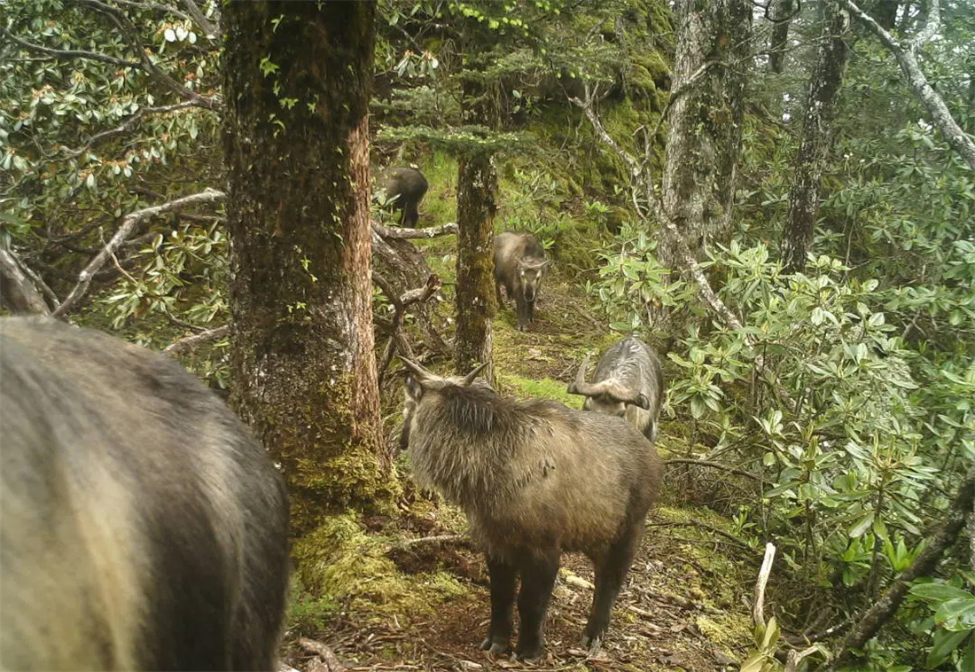 �� �� ɭ �� Ѳ �� ��10.jpg