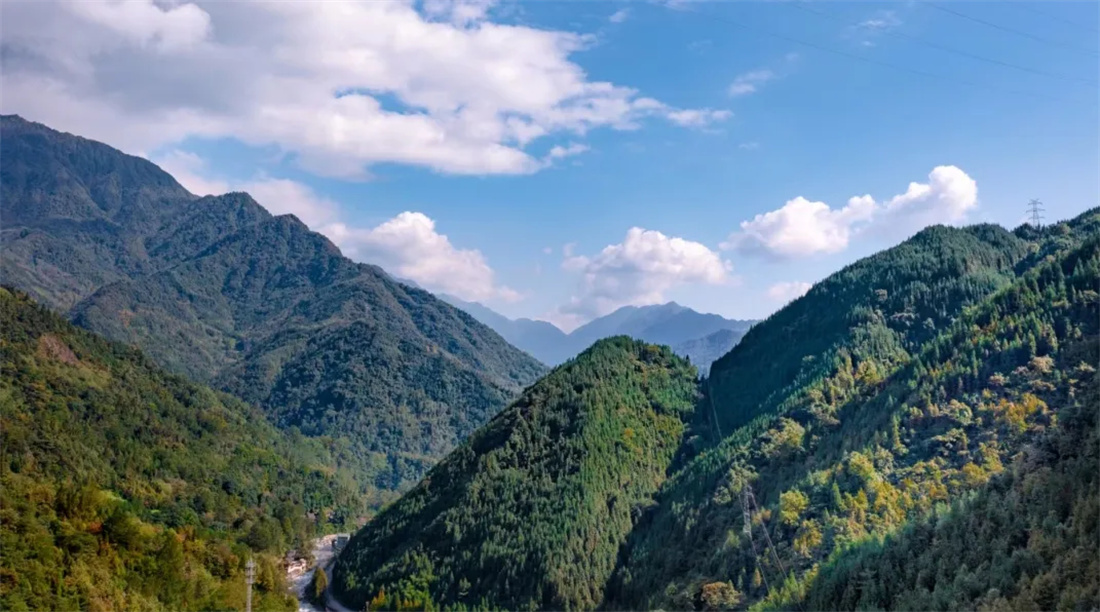 �� �� ɭ �� Ѳ �� ��11.jpg