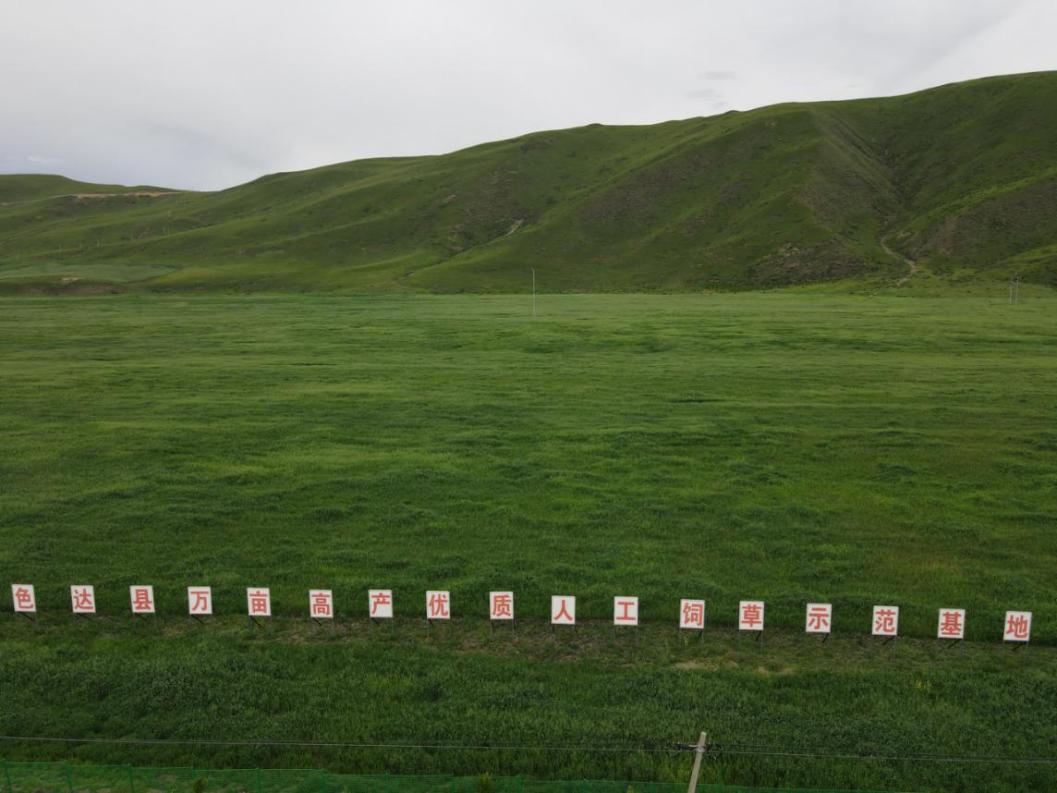 建立现代饲草产业体系.jpg 建立现代饲草产业体系.jpg
