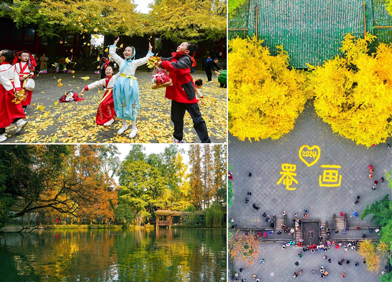 图片1.png 图片1.png