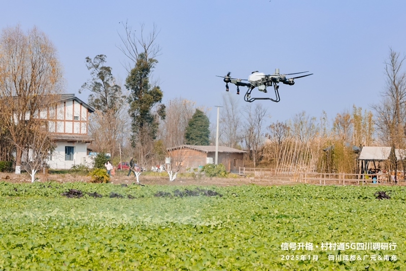 图片15.jpg 图片15.jpg