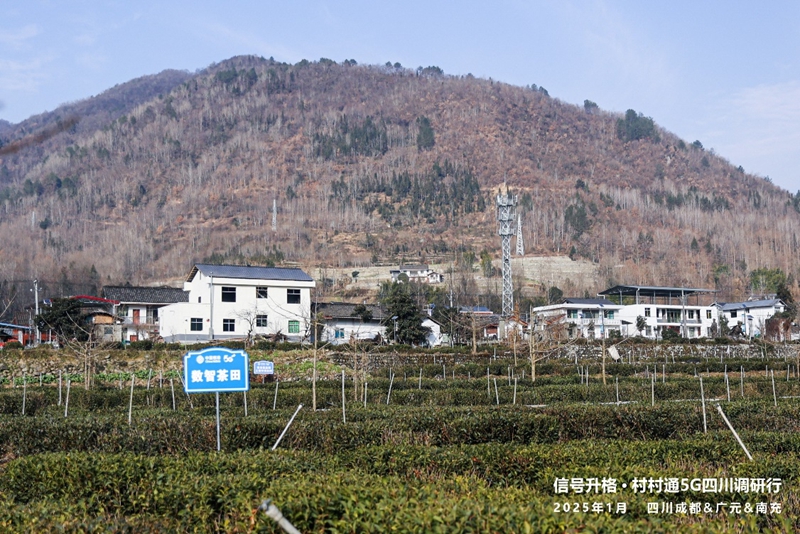 图片16.jpg 图片16.jpg