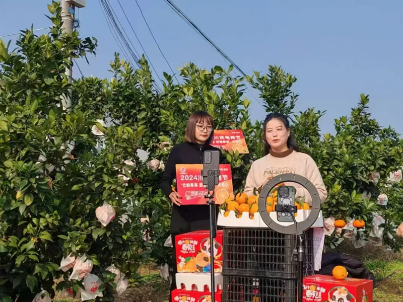 图片4.png 图片4.png