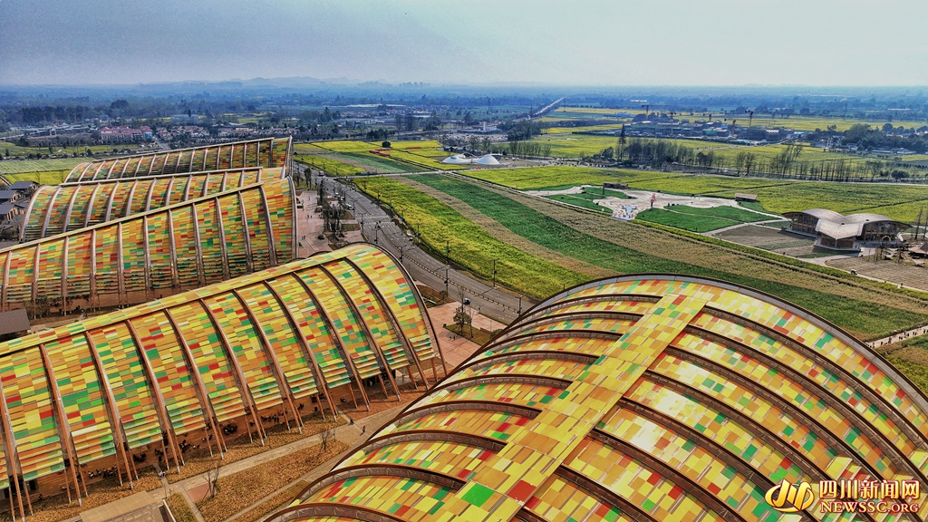 天府农博岛油菜花海 (6)_副本.jpg