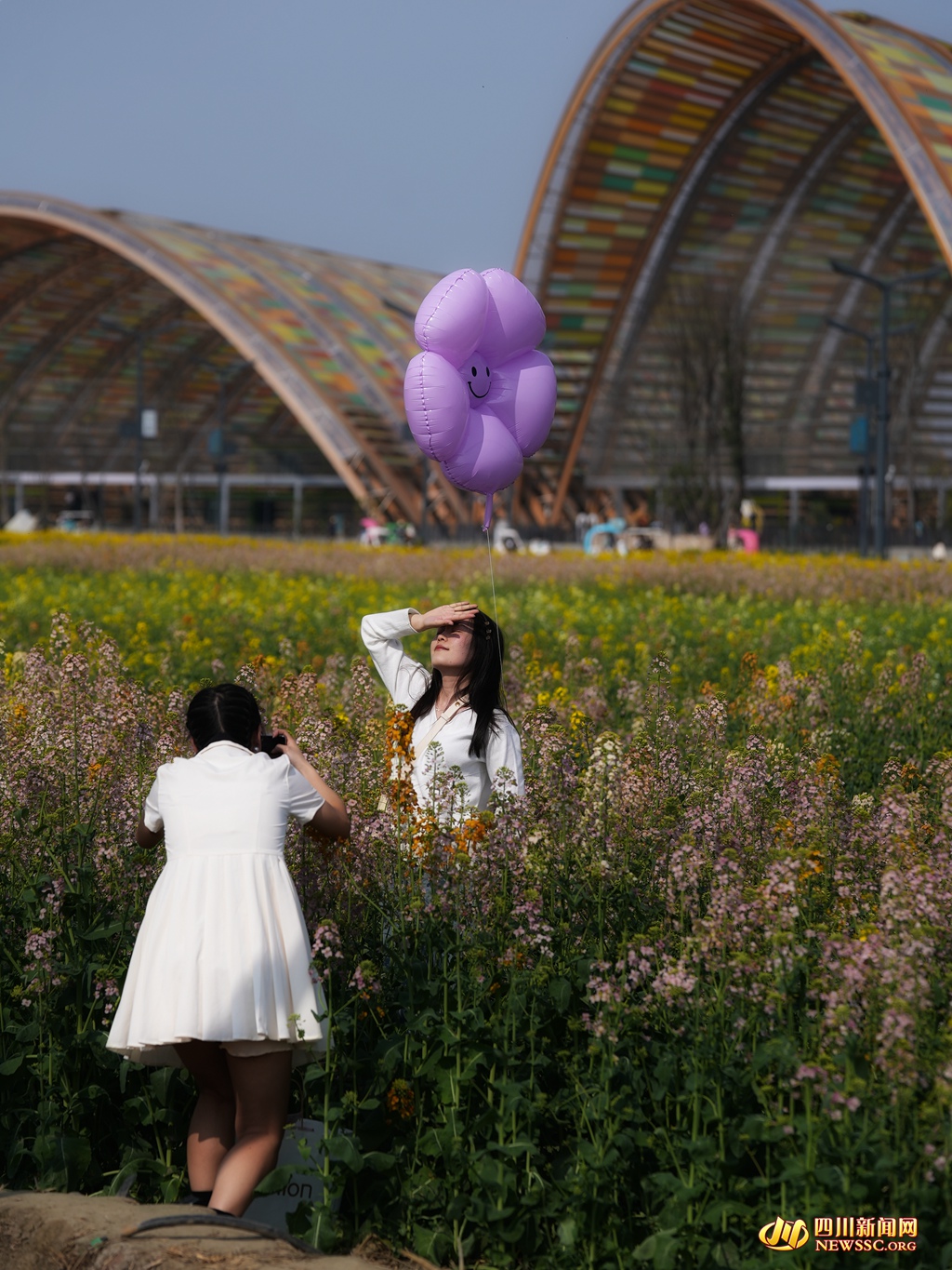游客畅游在花海中 (7)_副本.jpg