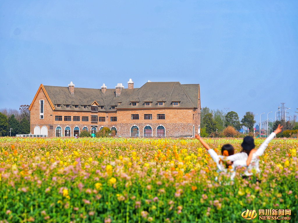 游客畅游在花海中 (8)_副本.jpg
