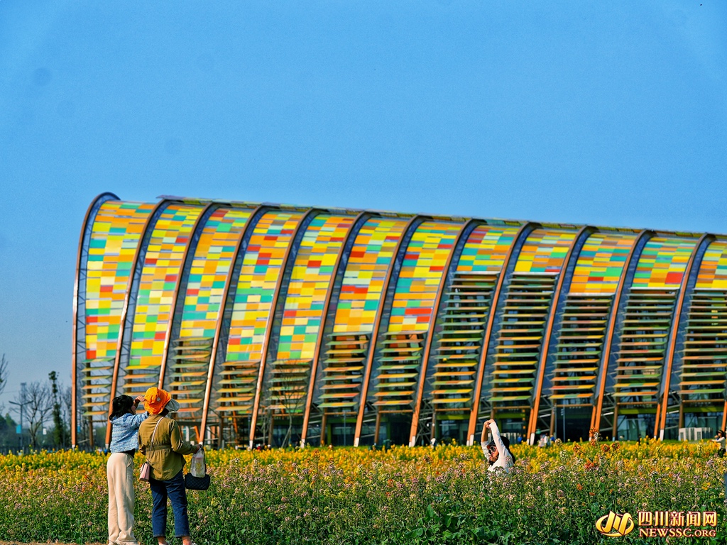 游客畅游在花海中 (9)_副本.jpg