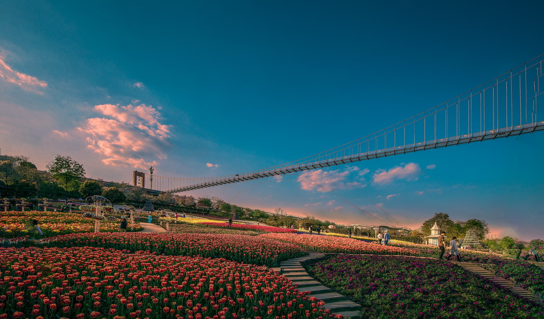 5漫花庄园.jpg 5漫花庄园.jpg