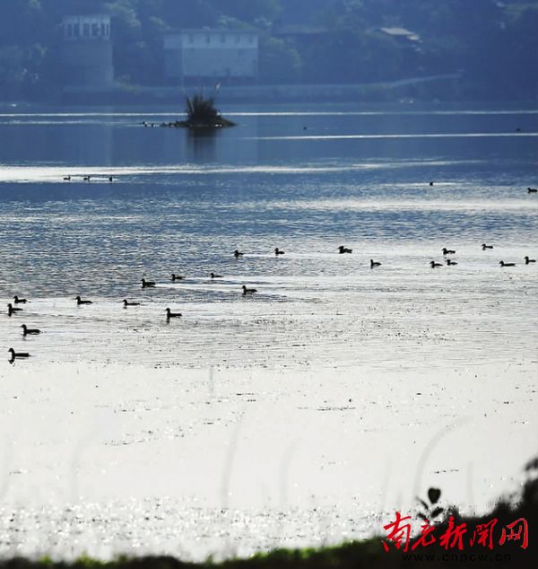 ee5cc532005f7777cf65a115f470fba9