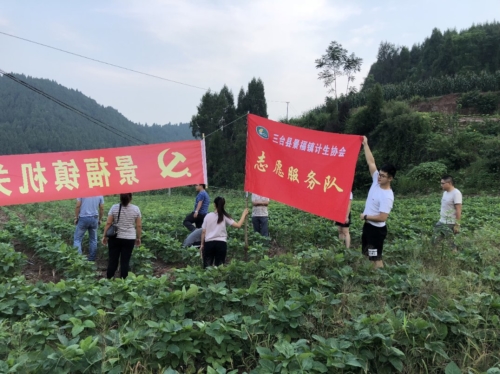 会同镇有多少人口_北流隆盛镇有多少人口(3)