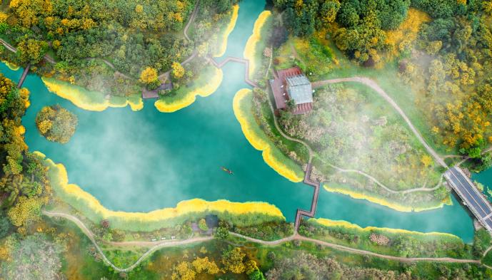 桤木河湿地公园