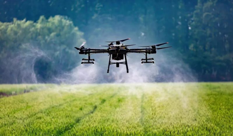 图片11.png 图片11.png