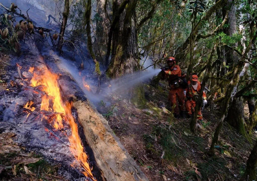 2025-03-30 11:11:49.698000