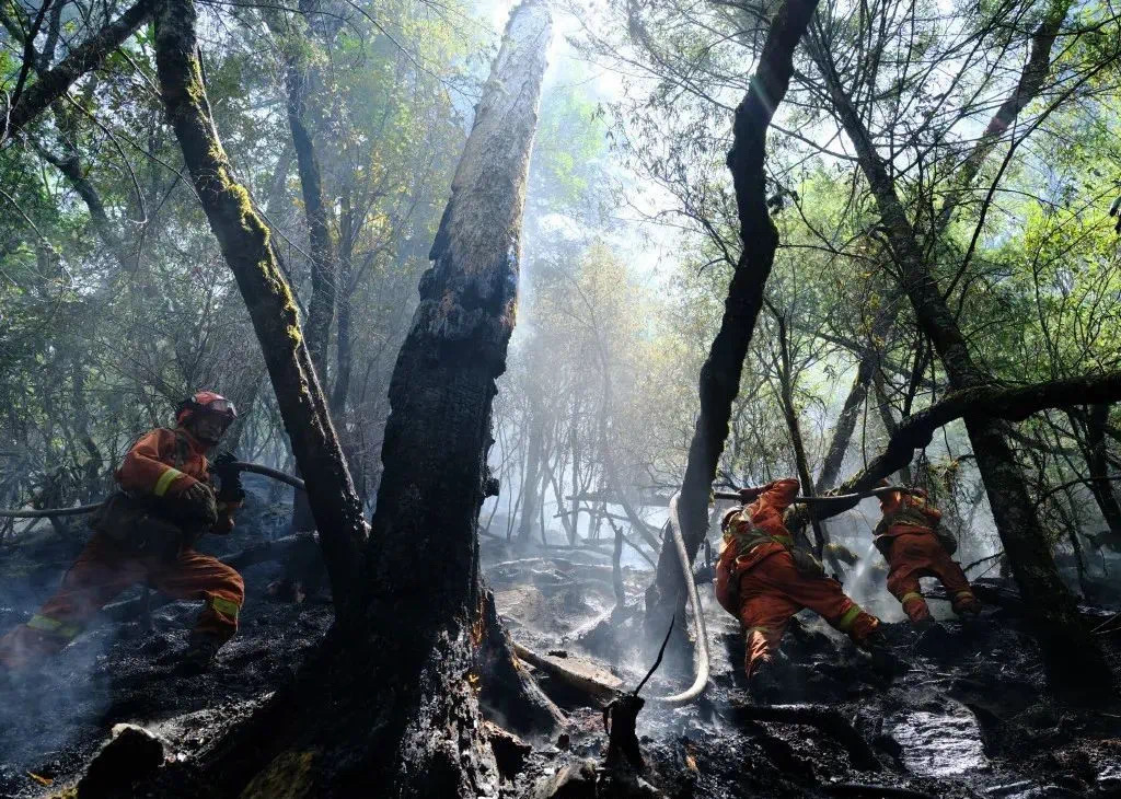 2025-03-30 11:12:53.037000