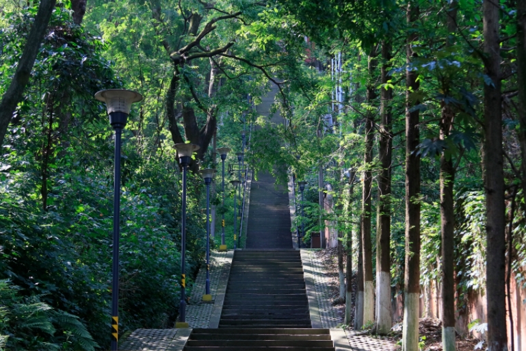 《宜宾市翠屏山保护条例》颁布实施6年来:以法治力量呵护绿水青山