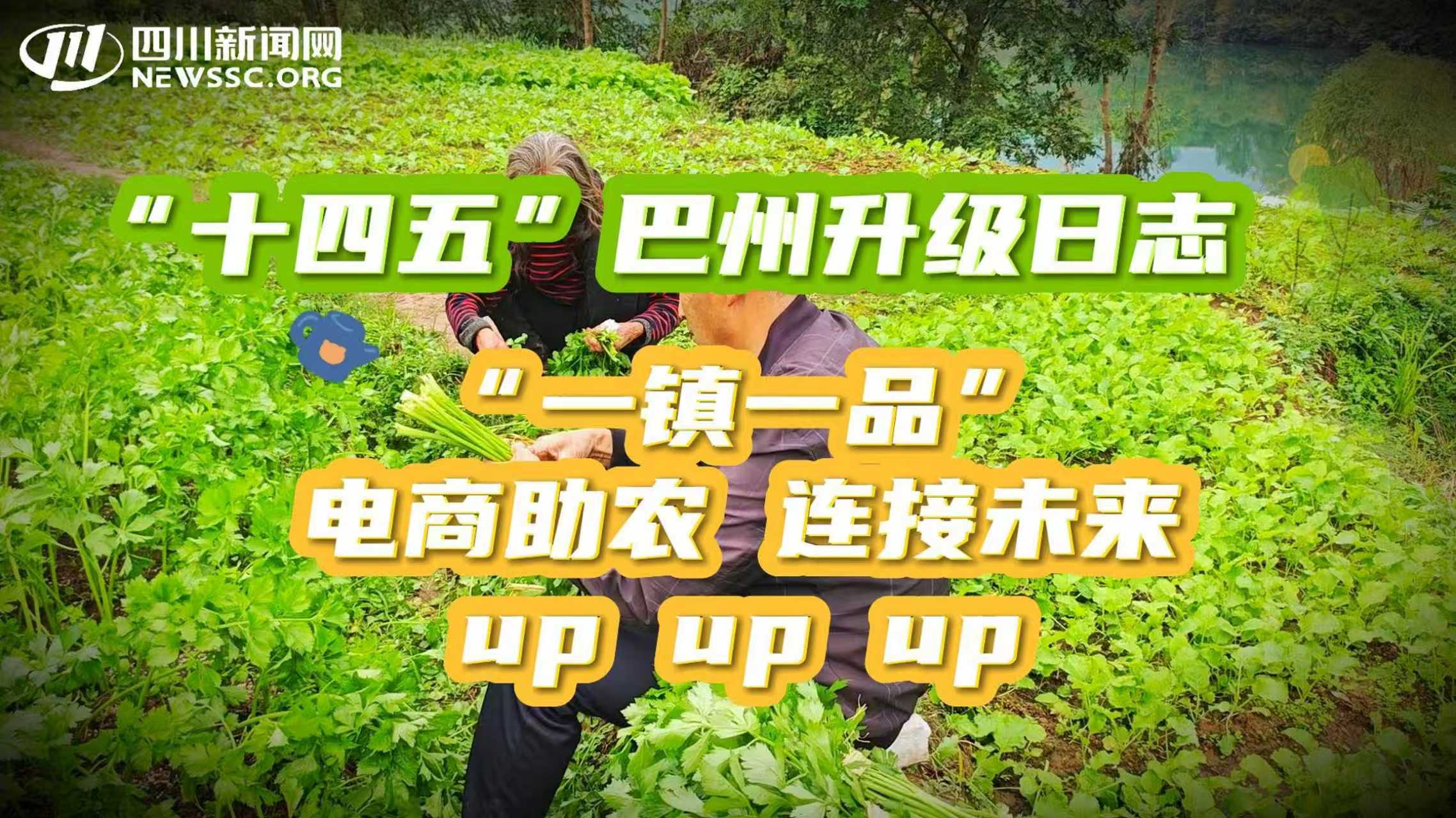 ʮ塱־һһƷũδ | ܽʮ塱 °